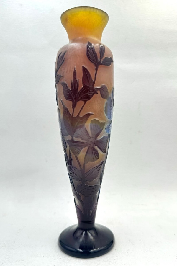 Gallé, Vase Decorated by Cape Dentaires