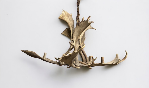 Important Elk Antler Chandelier Early 20th Century - Deer Antlers