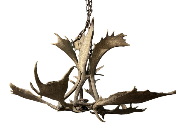 Important Elk Antler Chandelier Early 20th Century - Deer Antlers