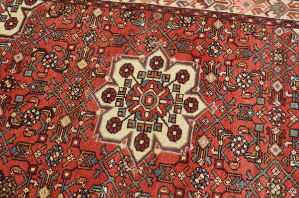 Iranian carpet (Amadan)