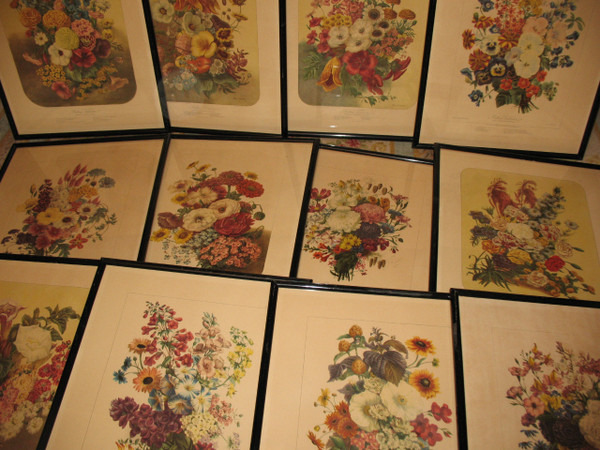 Lithographed plates Album Vilmorin bouquets of flowers painted by Elisa Champin 12 plates