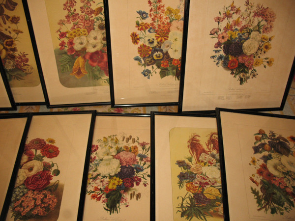 Lithographed plates Album Vilmorin bouquets of flowers painted by Elisa Champin 12 plates