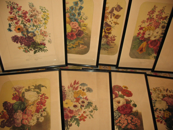 Lithographed plates Album Vilmorin bouquets of flowers painted by Elisa Champin 12 plates