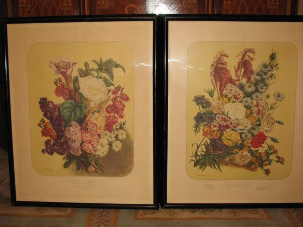 Lithographed plates Album Vilmorin bouquets of flowers painted by Elisa Champin 12 plates