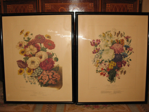 Lithographed plates Album Vilmorin bouquets of flowers painted by Elisa Champin 12 plates