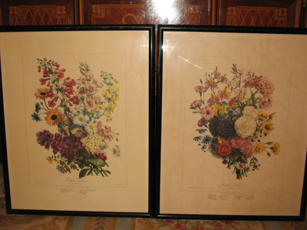 Lithographed plates Album Vilmorin bouquets of flowers painted by Elisa Champin 12 plates