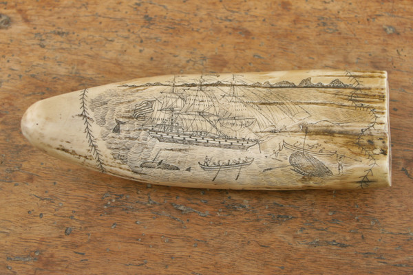 Three sperm whale teeth