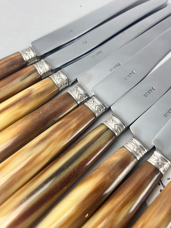 Twelve dessert or cheese knives, horn handle