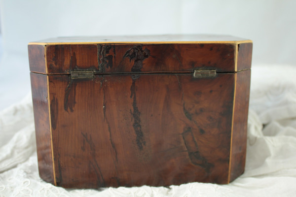 19th century mahogany burr veneer box