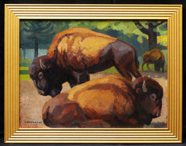 André MARGAT, American bison