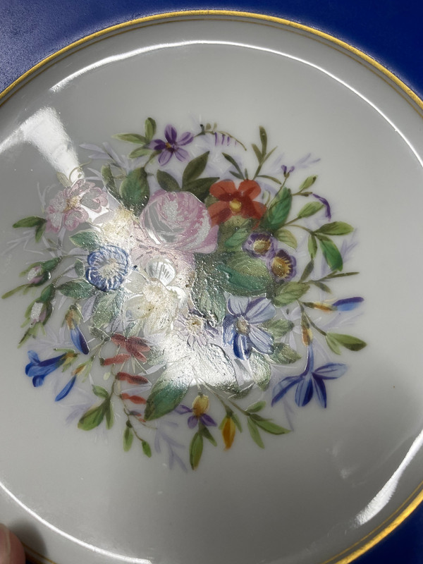 Suite De 12 Assiettes En Porcelaine Décor Fleurs Peint A La Main Charles Pillivuyt