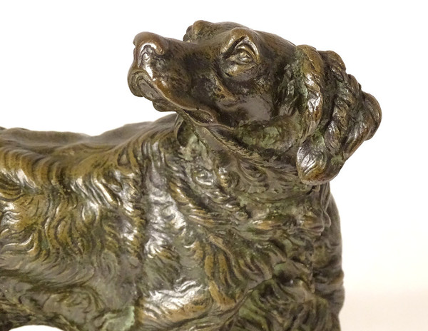 Skulptur Bronze signiert ules Moigniez Hund Jagd Stopp Spaniel XIX Jahrhundert