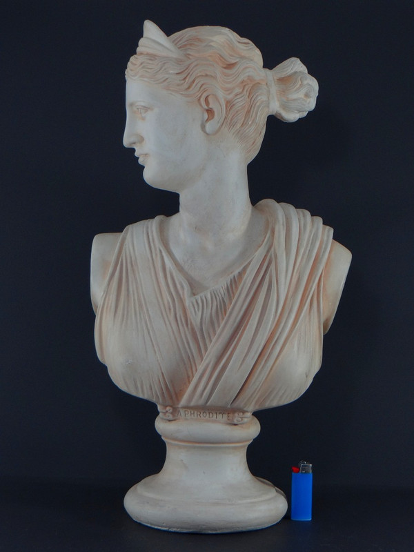 France, Années 1950/1960, Buste En Plâtre Figurant Aphrodite, Déesse Antique Grecque.