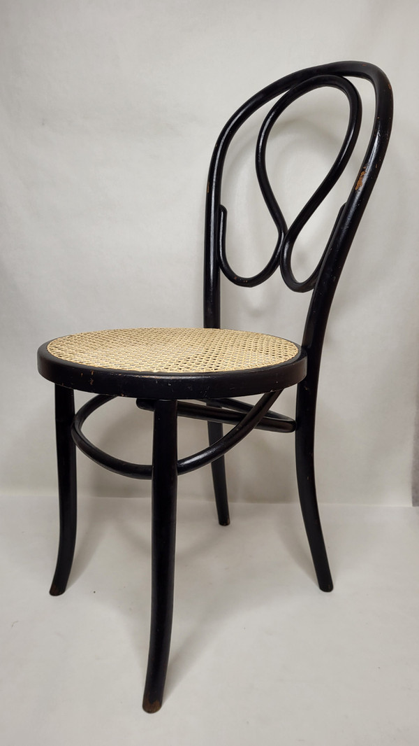 Pair of Art Nouveau Omega Chairs in bentwood, blackened