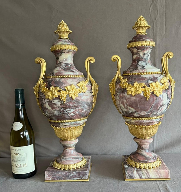 Pair of Cassolettes in Breche de Violette marble and gilt bronze 19th century