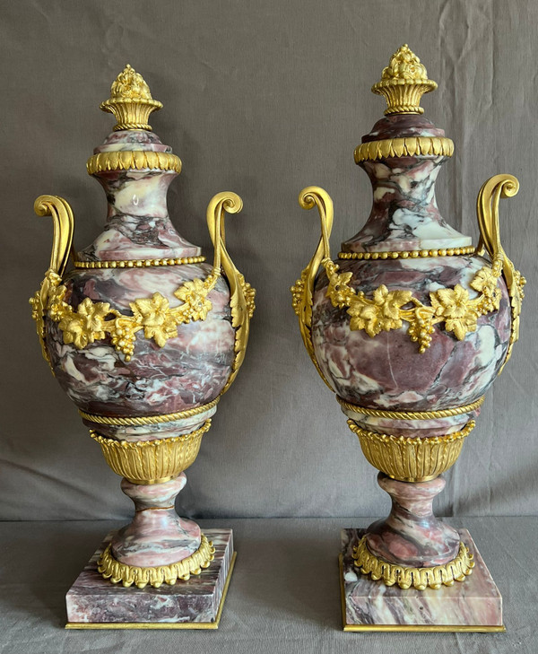 Pair of Cassolettes in Breche de Violette marble and gilt bronze 19th century