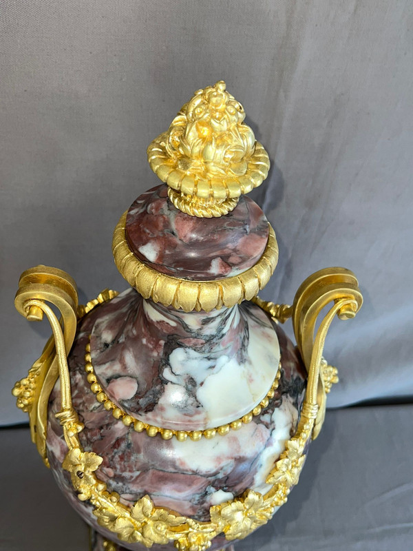 Pair of Cassolettes in Breche de Violette marble and gilt bronze 19th century