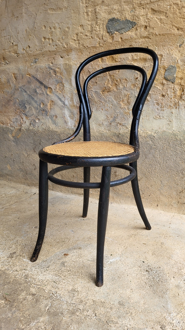 4 Art Nouveau bentwood chairs