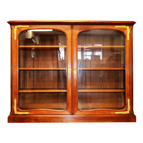 Vitrine Bibliothèque Art Nouveau