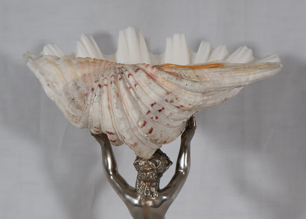 Nereid Stoup With Tridacna Shell 19th Century 