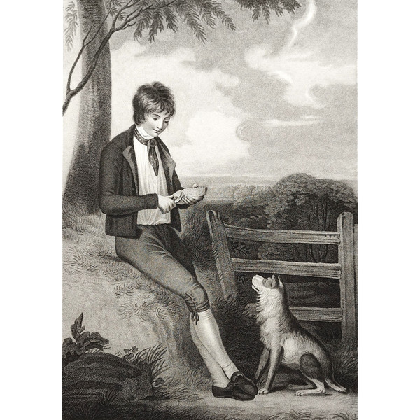 Dog And Young Boy Etching 19th C Engraving Old Print