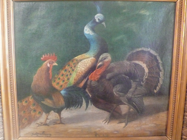 Quadro raffigurante un pavone, un gallo e un tacchino firmato Jules Bracq.