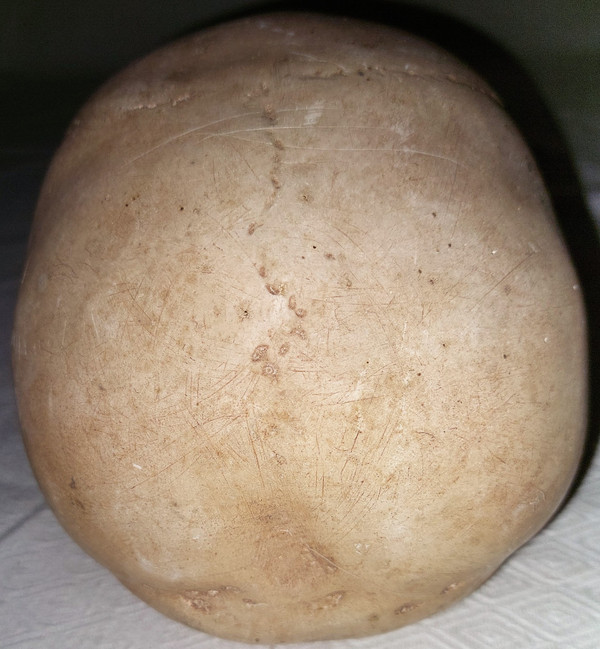 Skull and crossbones in plaster, early 20th century