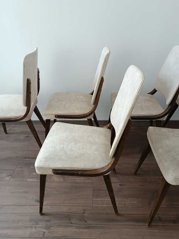 Série de 6 chaises design 1960