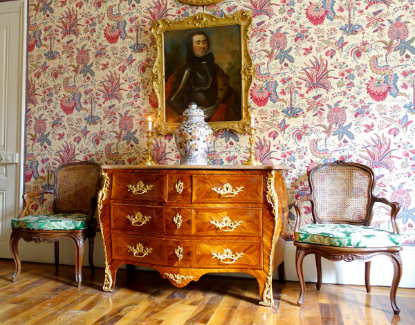 Portrait of an aristocratic officer, carved and gilded wood frame - Louis XV period 18th century