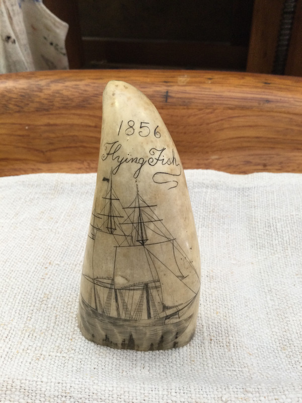 Scrimshaw 19th century 