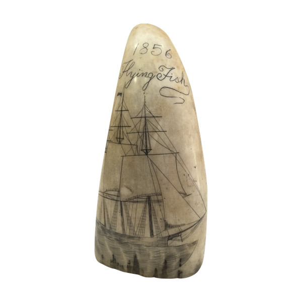 Scrimshaw 19th century 