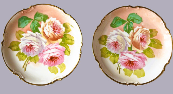 Deux assiettes en porcelaine peinte, richement décorée 