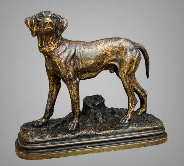 ANCIENT BRONZE SIGNED "ALFRED DUBUCAND 1828-1894" REPRESENTING A HUNTING DOG