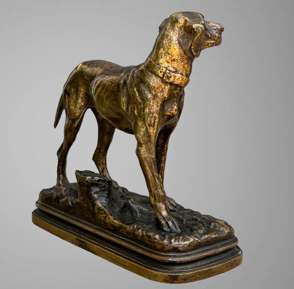 ANCIENT BRONZE SIGNED "ALFRED DUBUCAND 1828-1894" REPRESENTING A HUNTING DOG