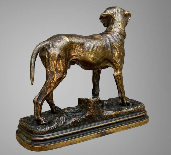 ANCIENT BRONZE SIGNED "ALFRED DUBUCAND 1828-1894" REPRESENTING A HUNTING DOG