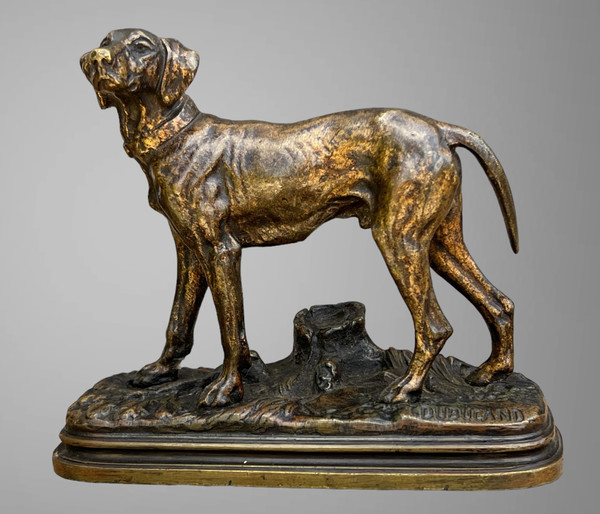 ANCIENT BRONZE SIGNED "ALFRED DUBUCAND 1828-1894" REPRESENTING A HUNTING DOG