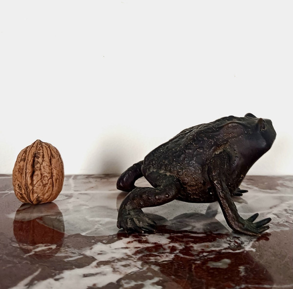 Kunstkammer - Patinated bronze toad - Renaissance Padua style