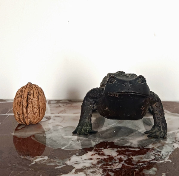 Kunstkammer - Patinated bronze toad - Renaissance Padua style