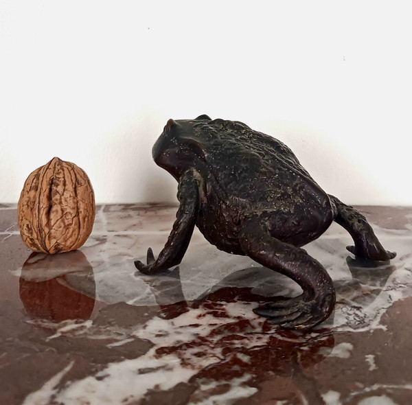 Kunstkammer - Patinated bronze toad - Renaissance Padua style