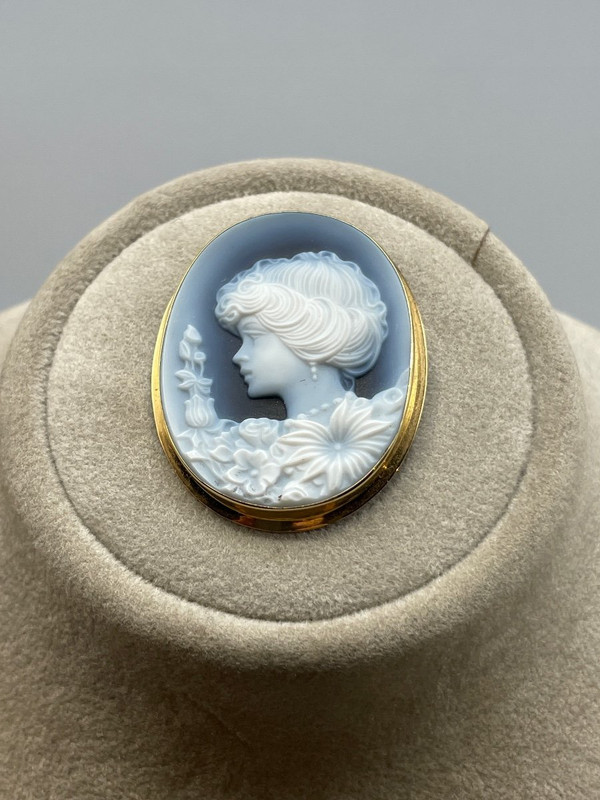 Ravissant Pendentif, Broche Camé Agate Bleu