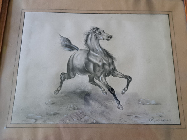 French School , A Horse , Drawing , XIX°.