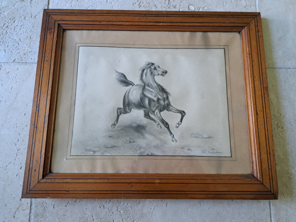 French School , A Horse , Drawing , XIX°.