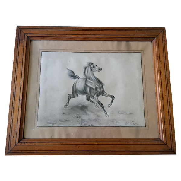 French School , A Horse , Drawing , XIX°.