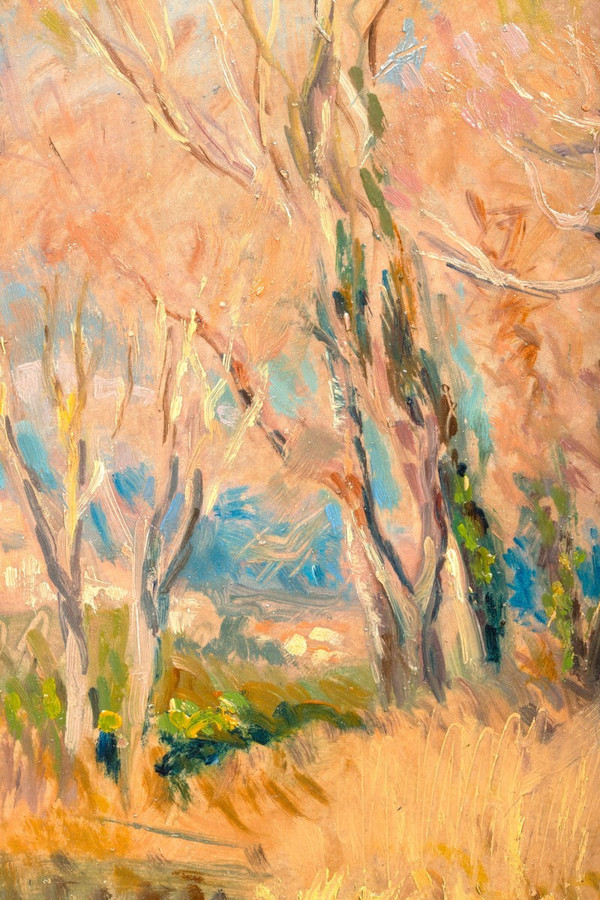 Early Spring near Cagnes-sur-Mer - Georges Moullade