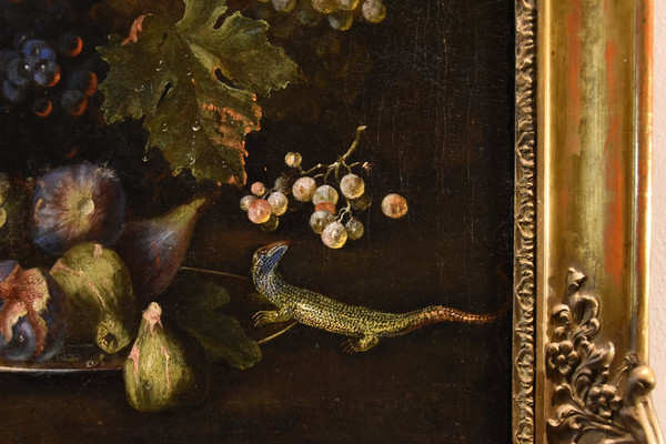 Still Life Of Fruit With Lizard, Franz Werner Von Tamm (hamburg 1658-vienna 1754) Attributed To