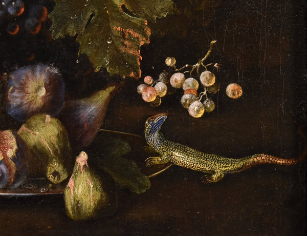 Still Life Of Fruit With Lizard, Franz Werner Von Tamm (hamburg 1658-vienna 1754) Attributed To