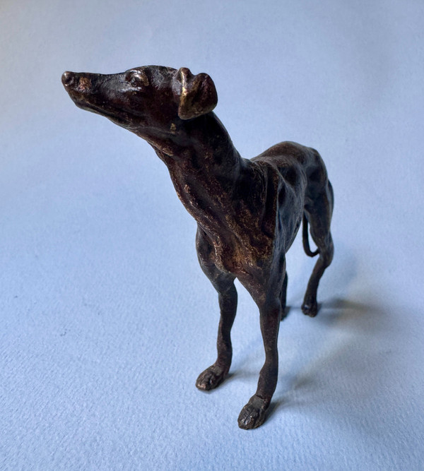 Lévrier Greyhound en bronze de Vienne, sculpture chien