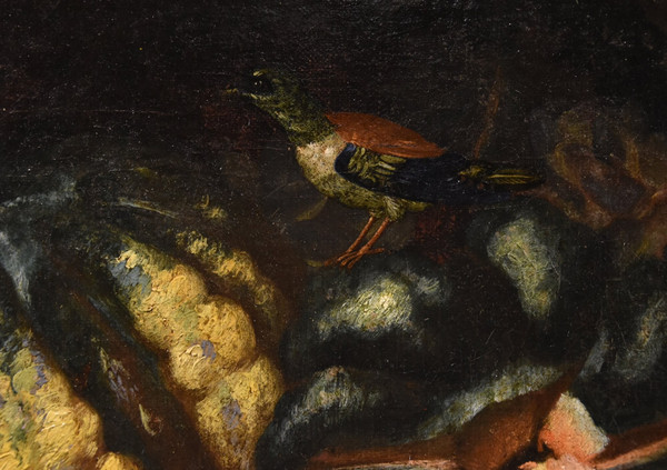 Still Life Of Fruit With Green Woodpecker, Franz Werner Von Tamm (hamburg 1658 - Vienna 1754) 