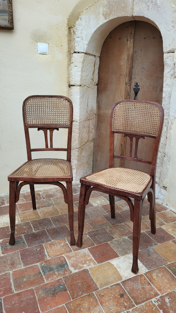 2 Chaises Art Nouveau en bois courbé