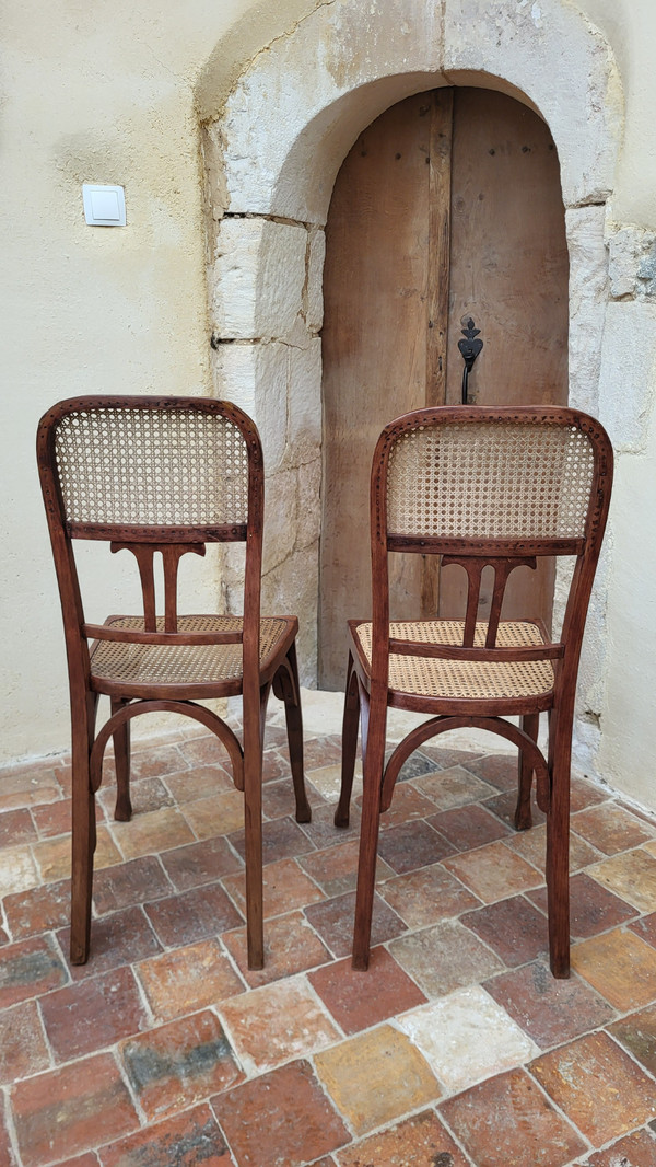 2 Chaises Art Nouveau en bois courbé